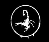 Picture of Scorpion-