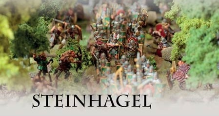 steinhagel.jpg